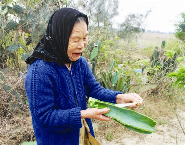 cây mọng nước, xương rồng